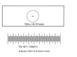 Micrometer Calibration Slide-3d-vina