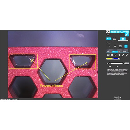 ViCapture-screenshot-burr-identi