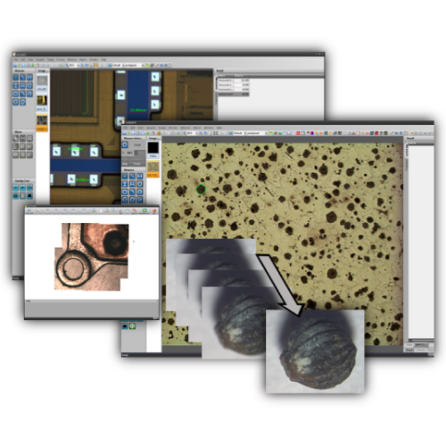 leopard-_1666863502 leopard-_1666863502