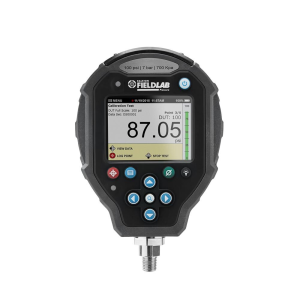 Ralston Instruments FLP1-GL-2M FieldLab Pressure Calibrator, IS, 300psi/20bar/2MPa